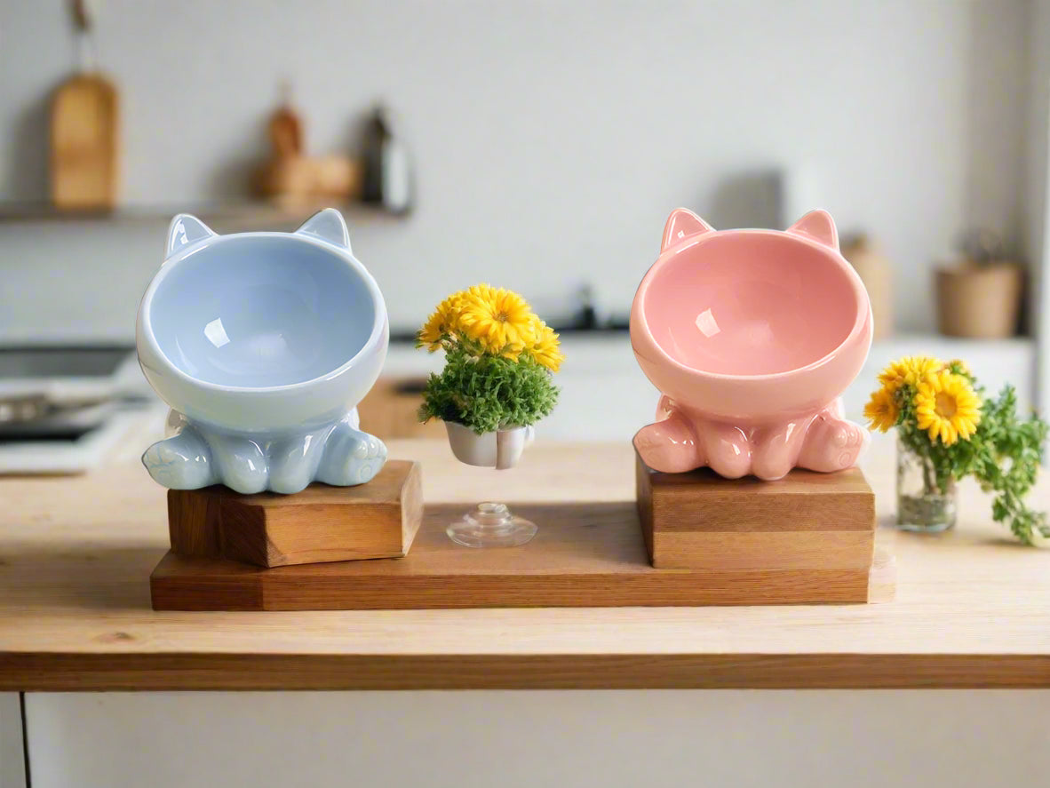 Ceramic Cat Food & Water Bowl Set