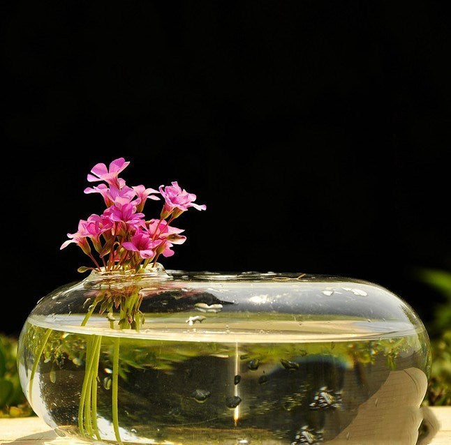 Hand Blown Propagation Vase