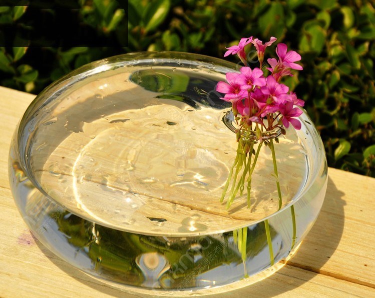 Hand Blown Propagation Vase