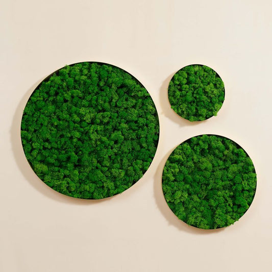 Circle Moss Wall Art