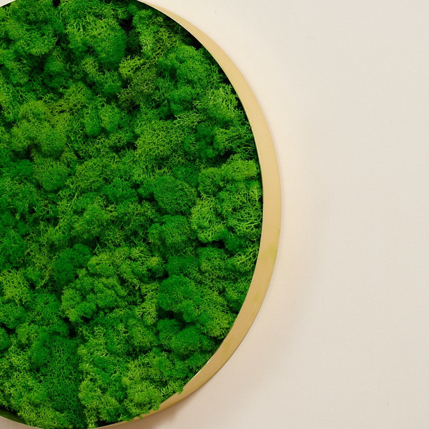 Circle Moss Wall Art