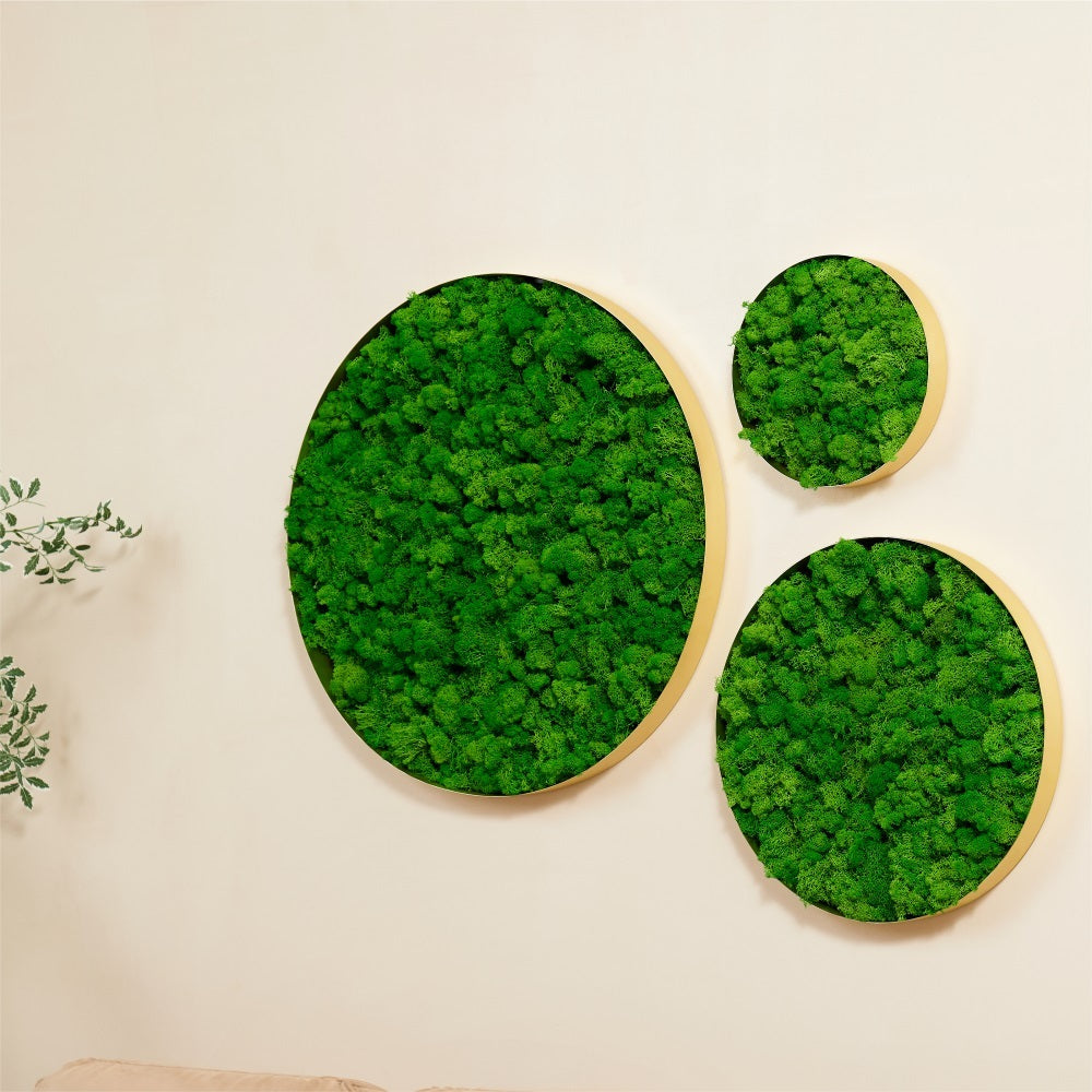 Circle Moss Wall Art