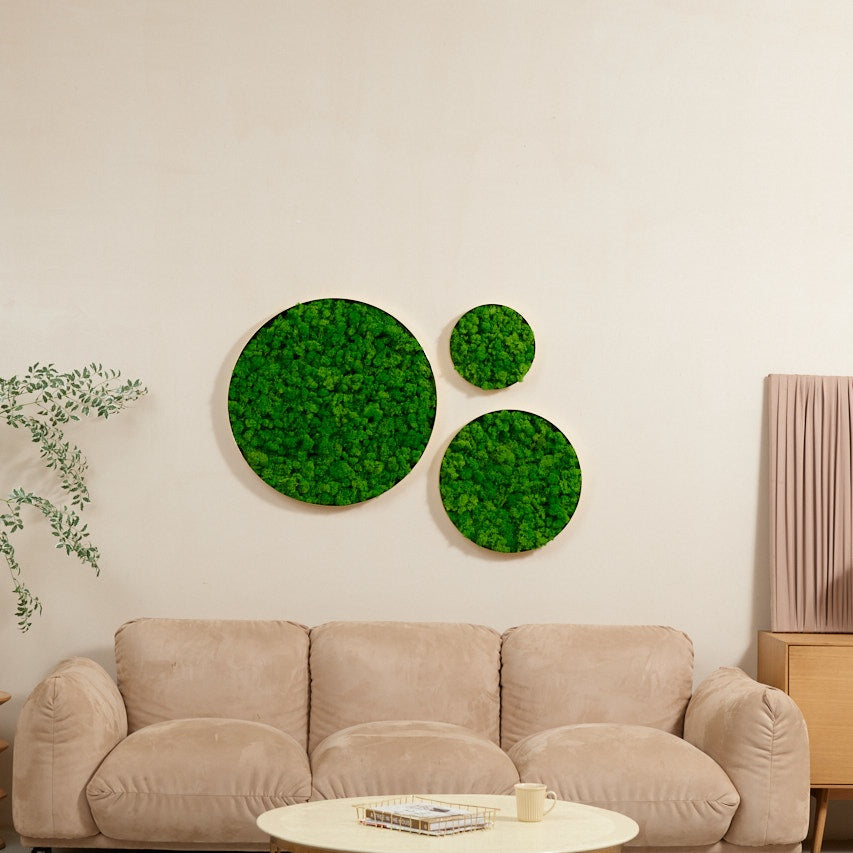 Circle Moss Wall Art