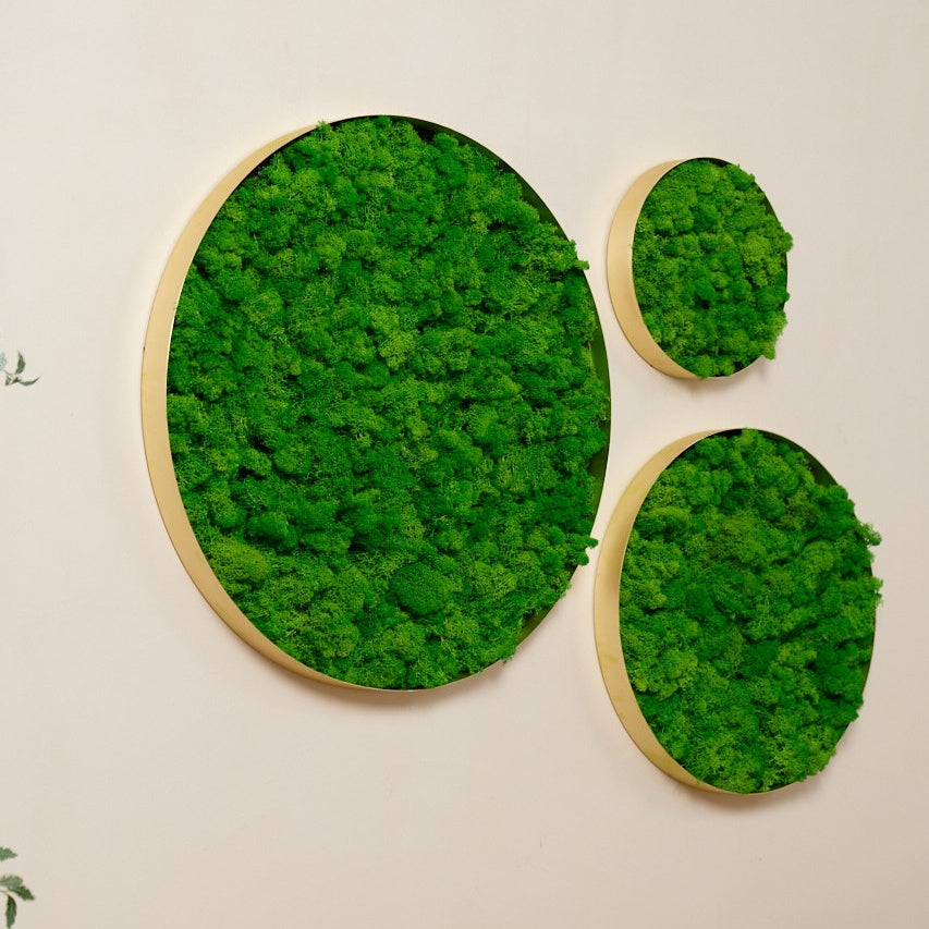 Circle Moss Wall Art