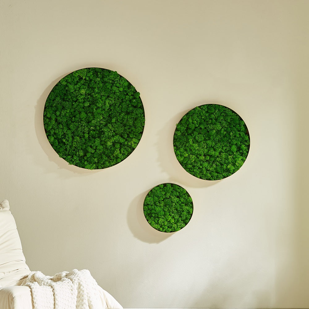 Circle Moss Wall Art