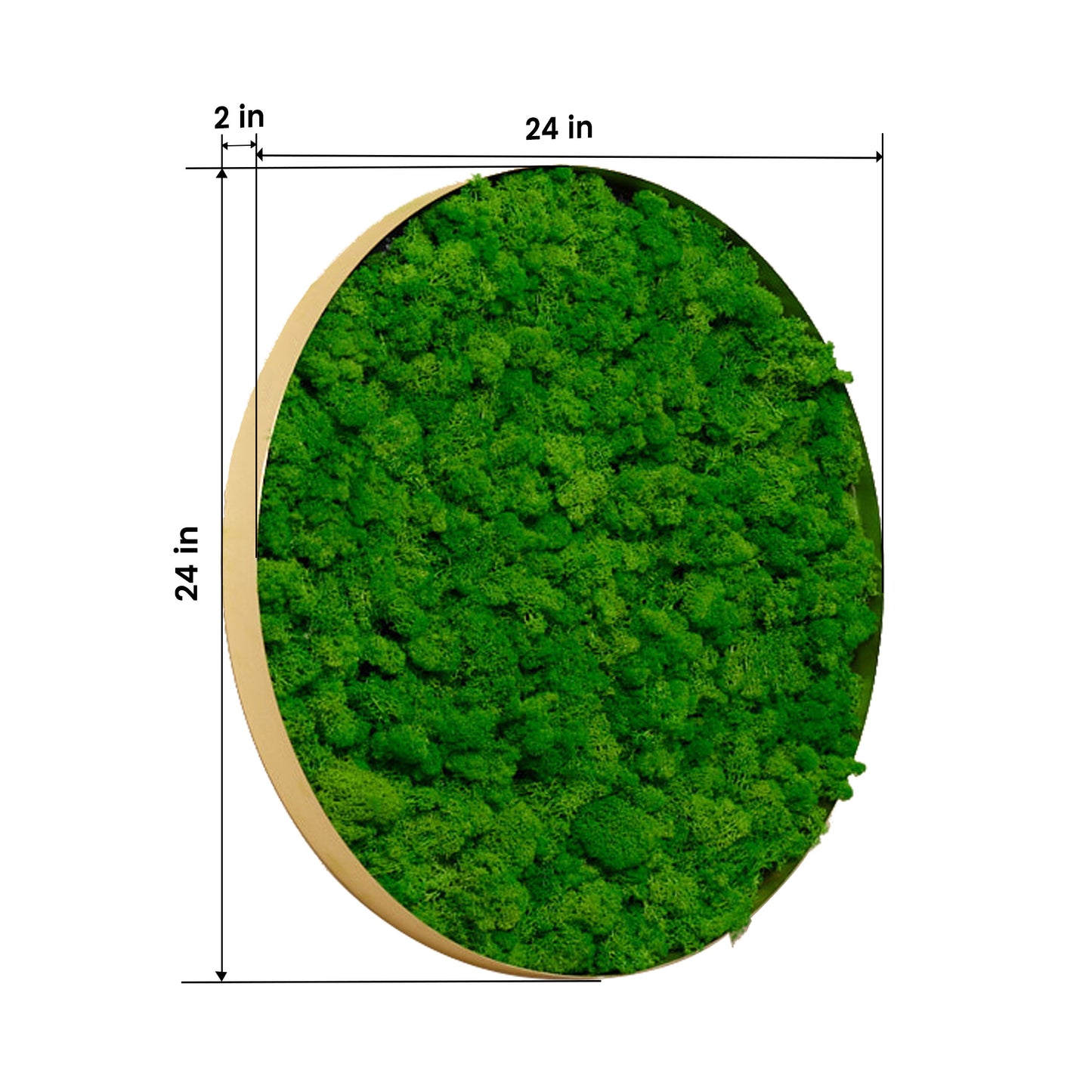 Circle Moss Wall Art