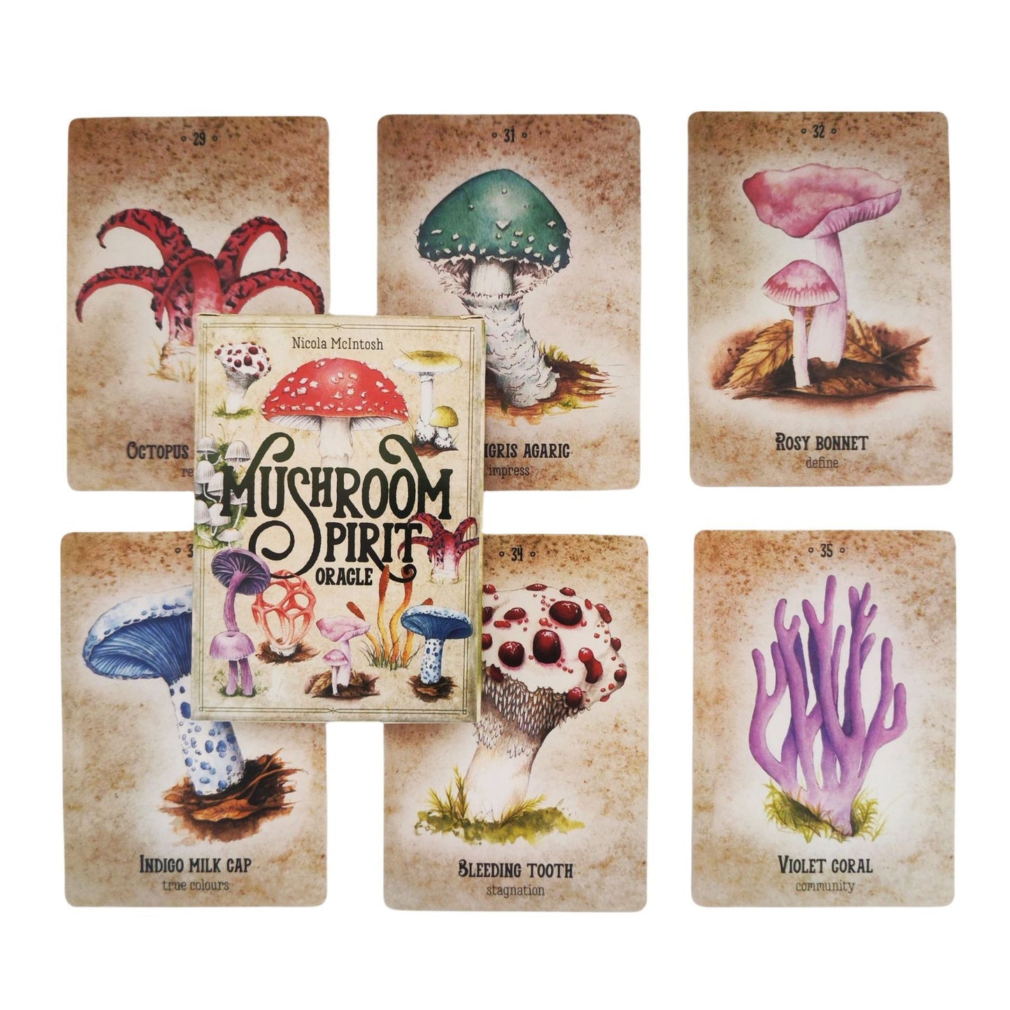 Mushroom Spirit Oracle Card Set